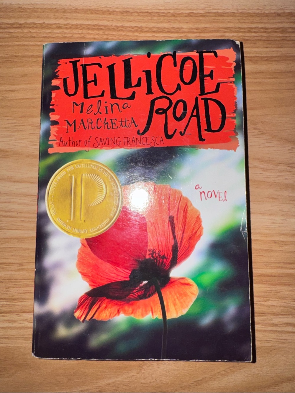 Jellicoe Road by Melina Marchetta paperback YA book